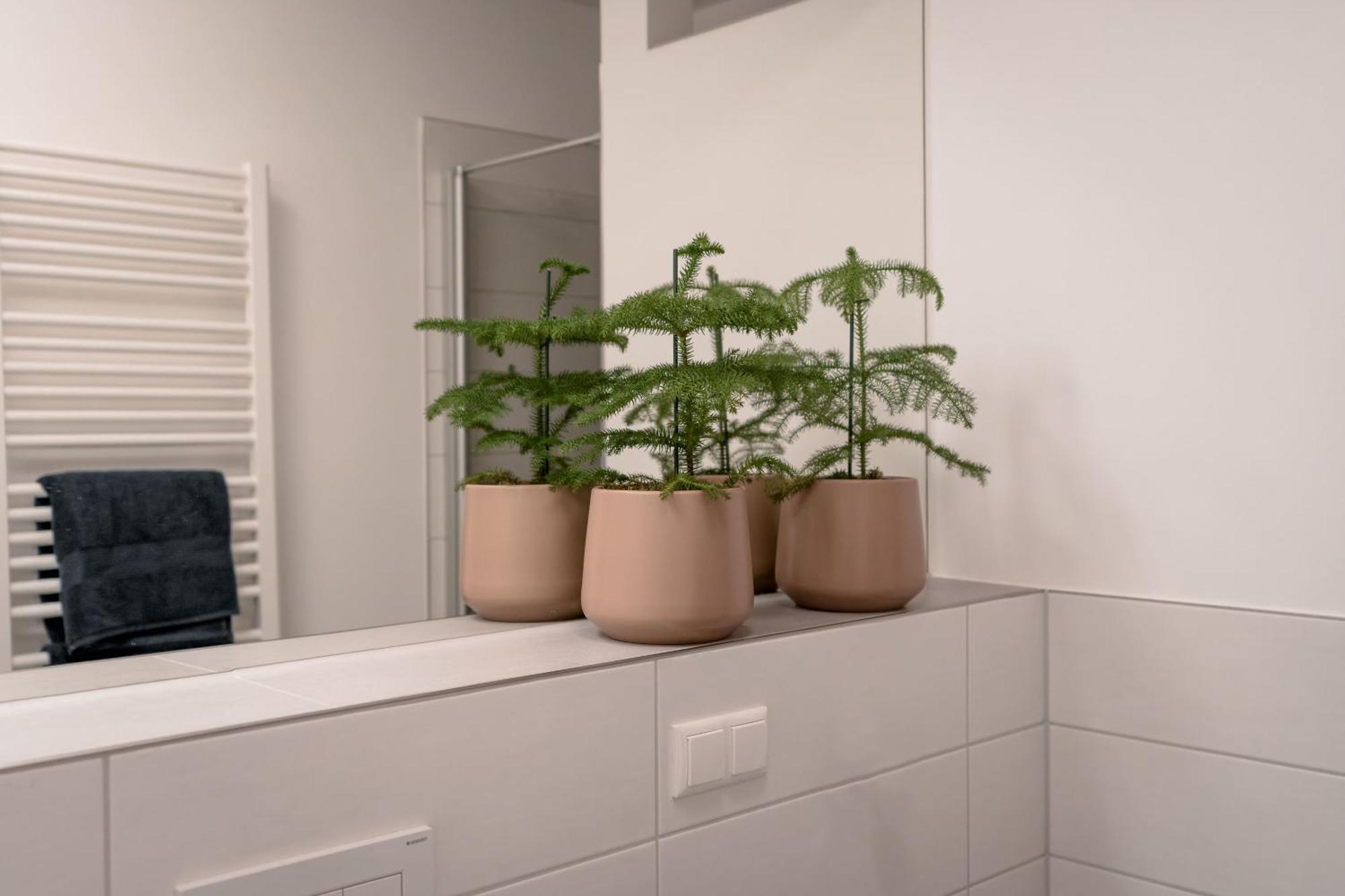 Ferienwohnung Altstadt Ratisbona Esterno foto
